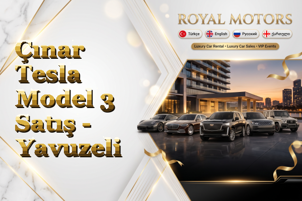 Çınar Tesla Model 3 Satış - Yavuzeli