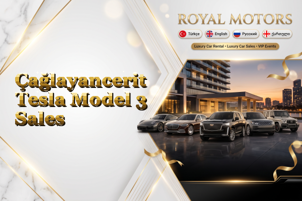 Çağlayancerit Tesla Model 3 Sales