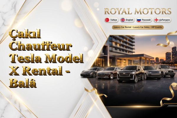 Çakıl Chauffeur Tesla Model X Rental - Balâ