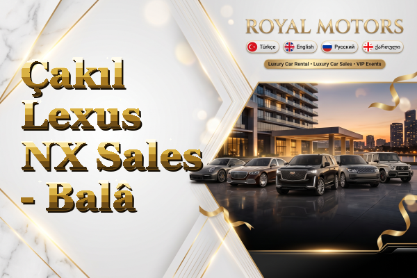 Çakıl Lexus NX Sales - Balâ