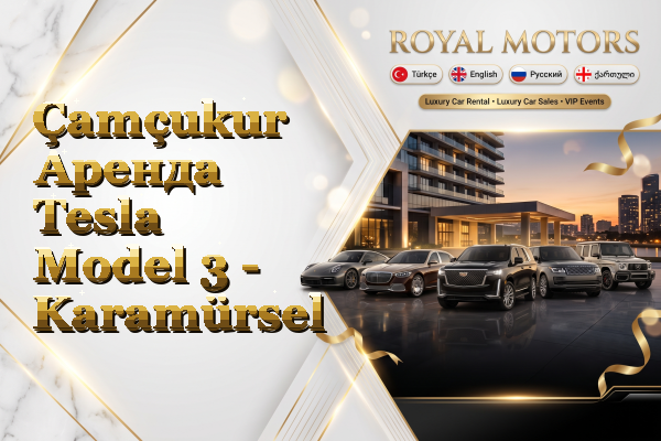 Çamçukur Аренда Tesla Model 3 - Karamürsel