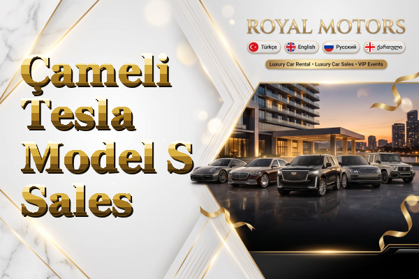 Çameli Tesla Model S Sales