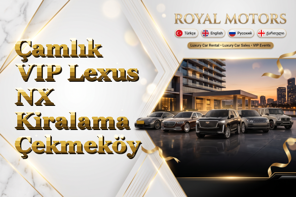 Çamlık VIP Lexus NX Kiralama - Çekmeköy