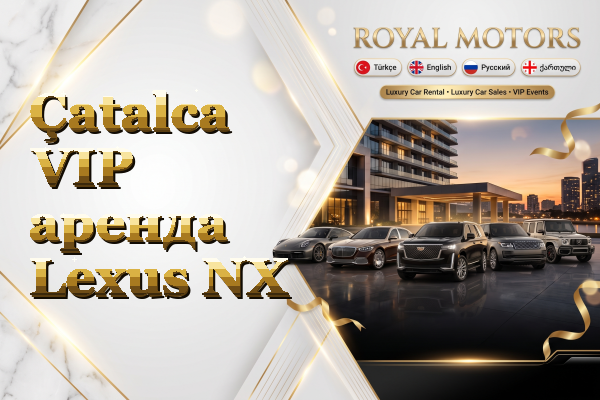Çatalca VIP аренда Lexus NX