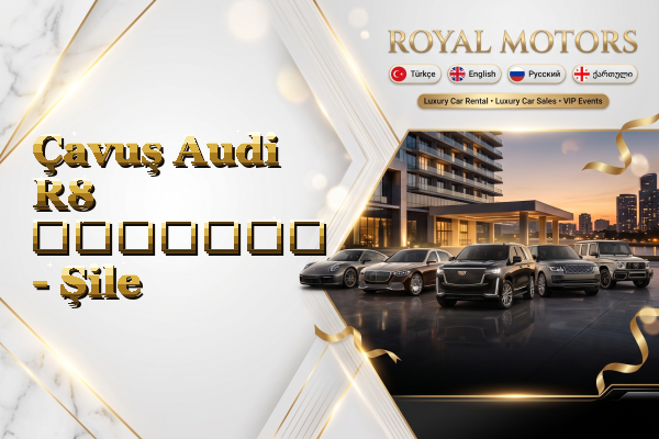 Çavuş Audi R8 გაყიდვა - Şile