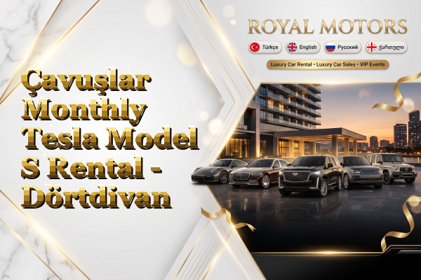 Çavuşlar Monthly Tesla Model S Rental - Dörtdivan