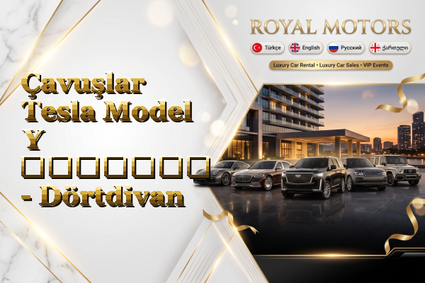 Çavuşlar Tesla Model Y გაყიდვა - Dörtdivan