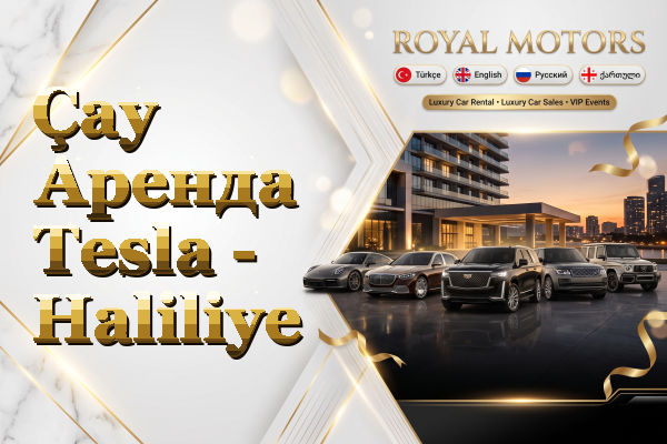 Çay Аренда Tesla - Haliliye