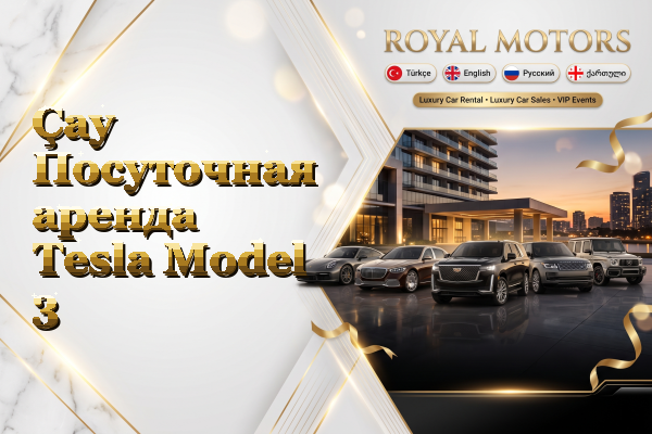 Çay Посуточная аренда Tesla Model 3