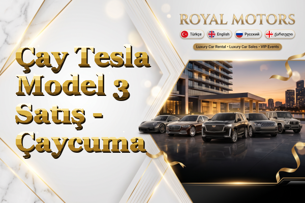 Çay Tesla Model 3 Satış - Çaycuma