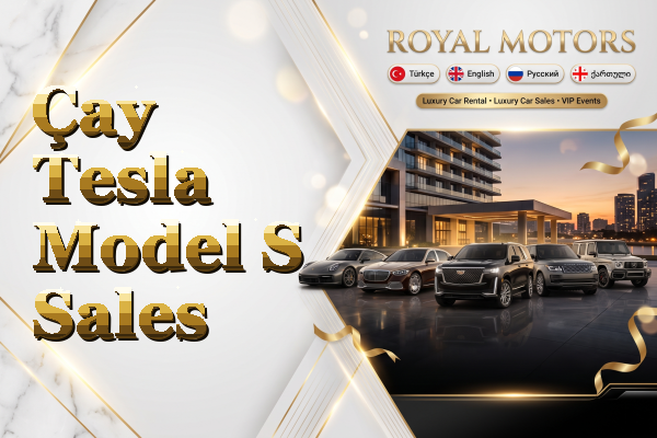 Çay Tesla Model S Sales