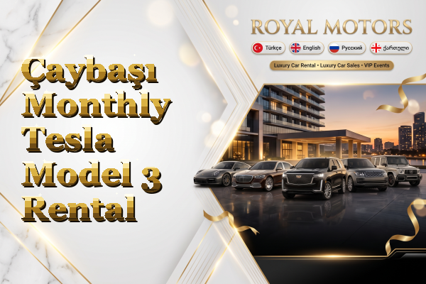 Çaybaşı Monthly Tesla Model 3 Rental