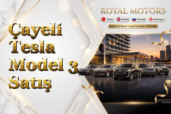 Çayeli Tesla Model 3 Satış