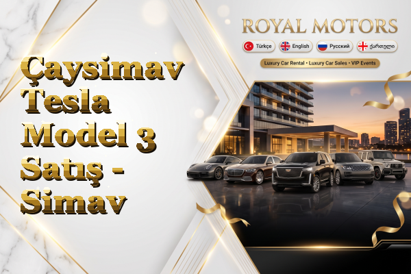 Çaysimav Tesla Model 3 Satış - Simav