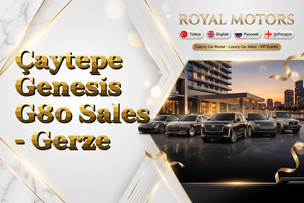 Çaytepe Genesis G80 Sales - Gerze