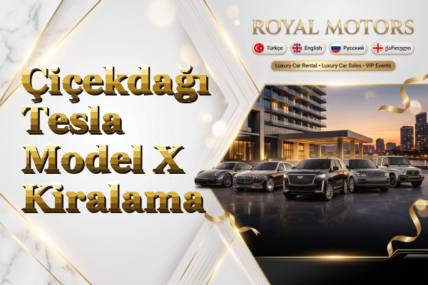 Çiçekdağı Tesla Model X Kiralama