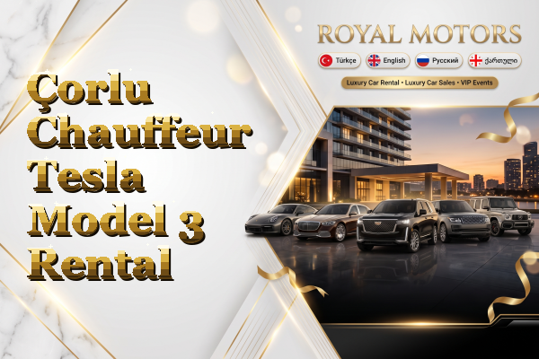 Çorlu Chauffeur Tesla Model 3 Rental