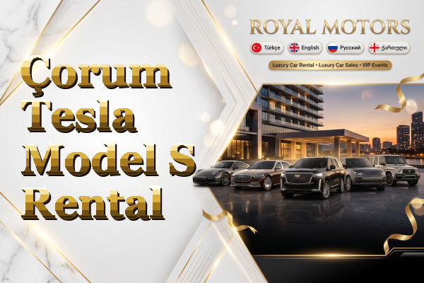 Çorum Tesla Model S Rental