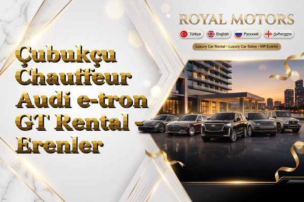 Çubukçu Chauffeur Audi e-tron GT Rental - Erenler