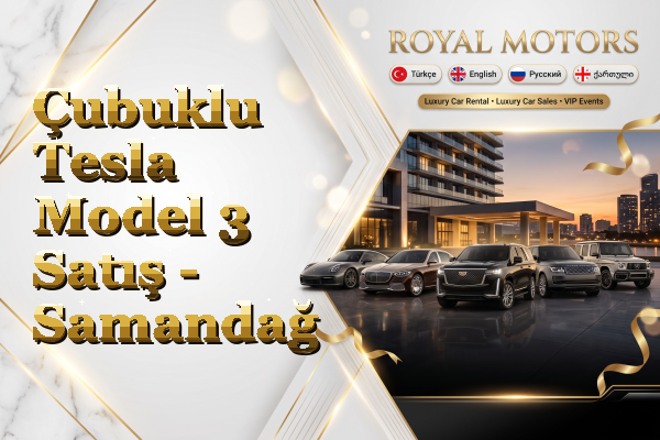 Çubuklu Tesla Model 3 Satış - Samandağ