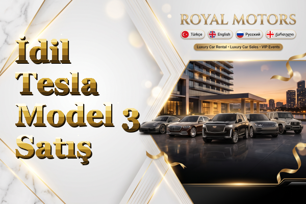 İdil Tesla Model 3 Satış