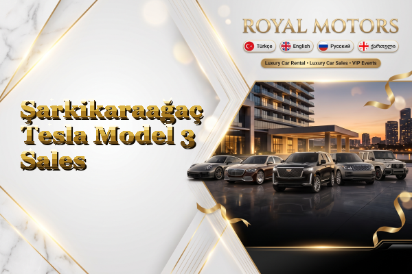 Şarkikaraağaç Tesla Model 3 Sales