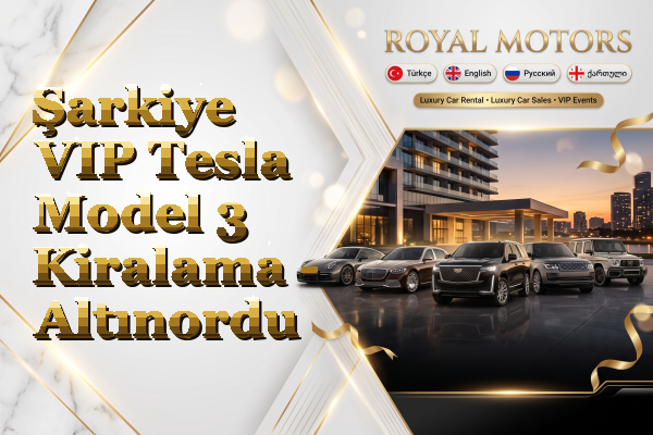 Şarkiye VIP Tesla Model 3 Kiralama - Altınordu