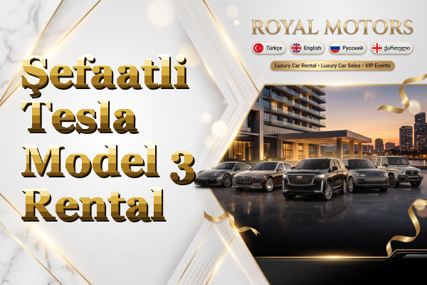 Şefaatli Tesla Model 3 Rental