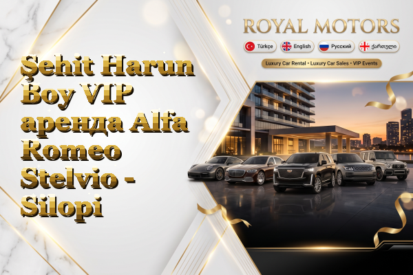 Şehit Harun Boy VIP аренда Alfa Romeo Stelvio - Silopi