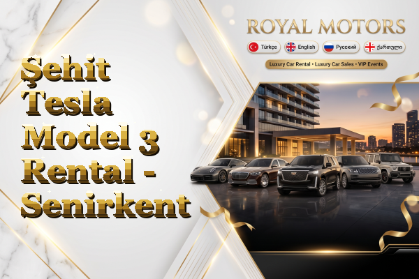 Şehit Tesla Model 3 Rental - Senirkent