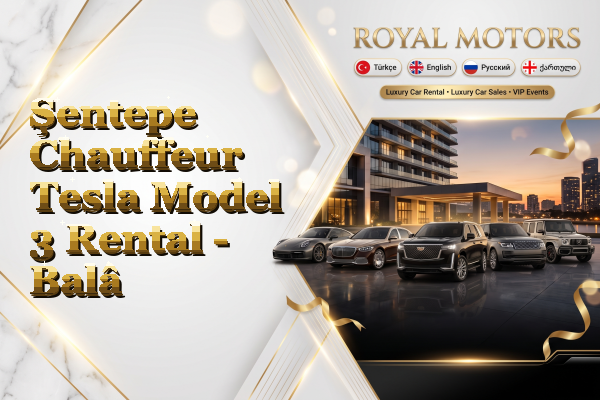 Şentepe Chauffeur Tesla Model 3 Rental - Balâ