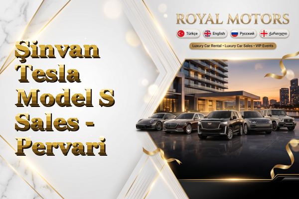 Şinvan Tesla Model S Sales - Pervari