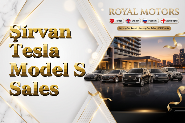 Şirvan Tesla Model S Sales