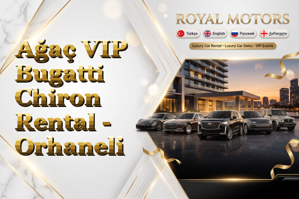 Ağaç VIP Bugatti Chiron Rental - Orhaneli