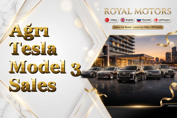 Ağrı Tesla Model 3 Sales