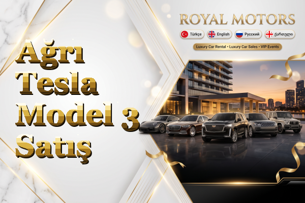 Ağrı Tesla Model 3 Satış