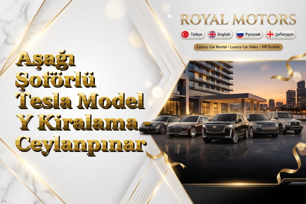 Aşağı Şoförlü Tesla Model Y Kiralama - Ceylanpınar