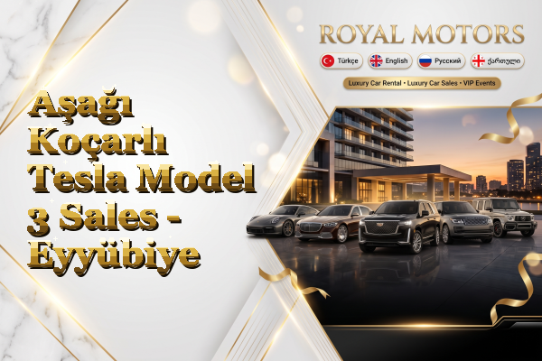 Aşağı Koçarlı Tesla Model 3 Sales - Eyyübiye
