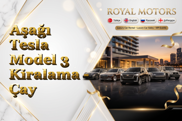 Aşağı Tesla Model 3 Kiralama - Çay