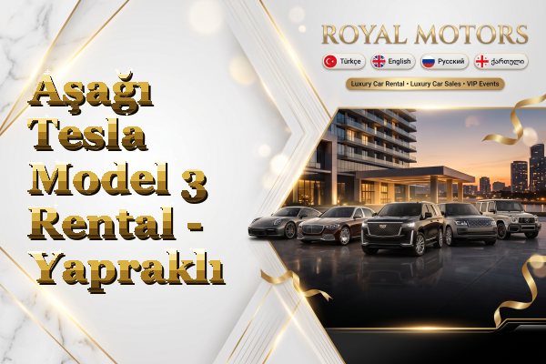 Aşağı Tesla Model 3 Rental - Yapraklı