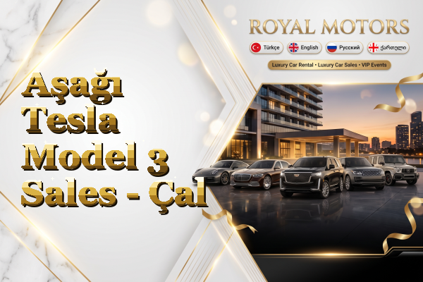 Aşağı Tesla Model 3 Sales - Çal
