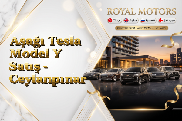 Aşağı Tesla Model Y Satış - Ceylanpınar