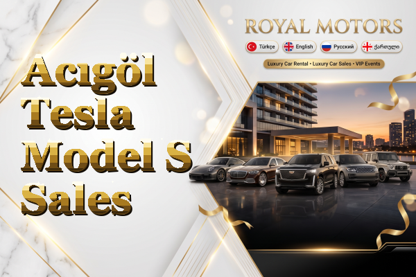 Acıgöl Tesla Model S Sales