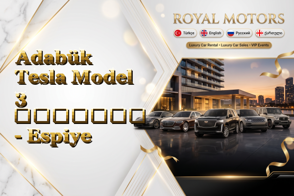 Adabük Tesla Model 3 გაყიდვა - Espiye
