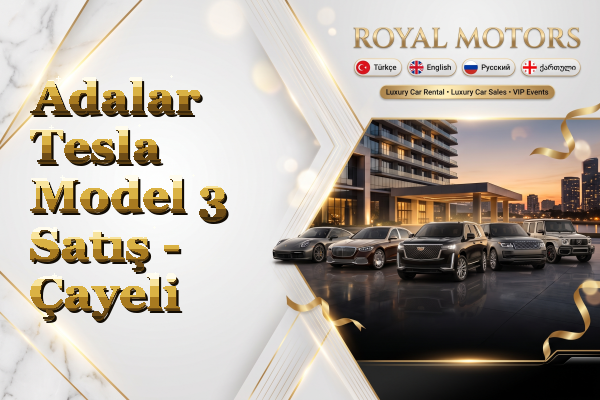 Adalar Tesla Model 3 Satış - Çayeli