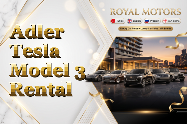 Adler Tesla Model 3 Rental