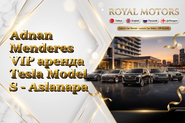 Adnan Menderes VIP аренда Tesla Model S - Aslanapa
