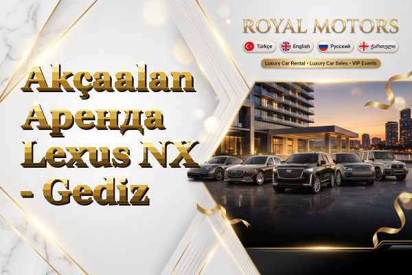 Akçaalan Аренда Lexus NX - Gediz