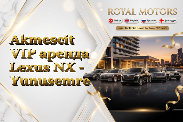Akmescit VIP аренда Lexus NX - Yunusemre