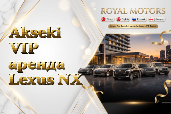 Akseki VIP аренда Lexus NX